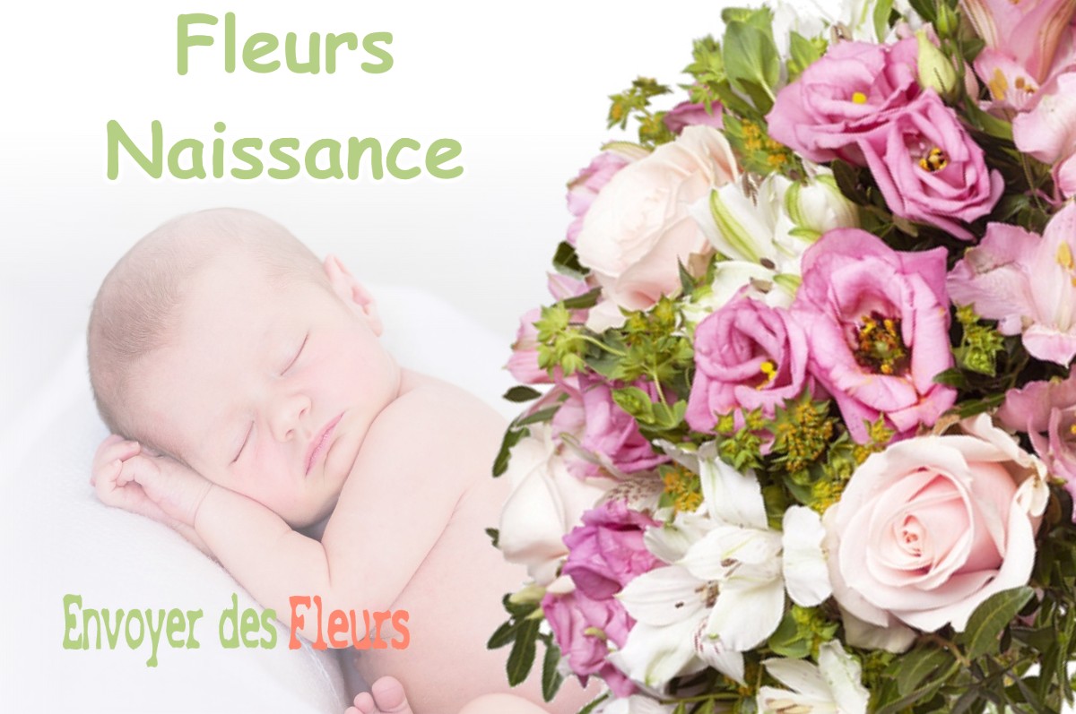 lIVRAISON FLEURS NAISSANCE à OLLEY